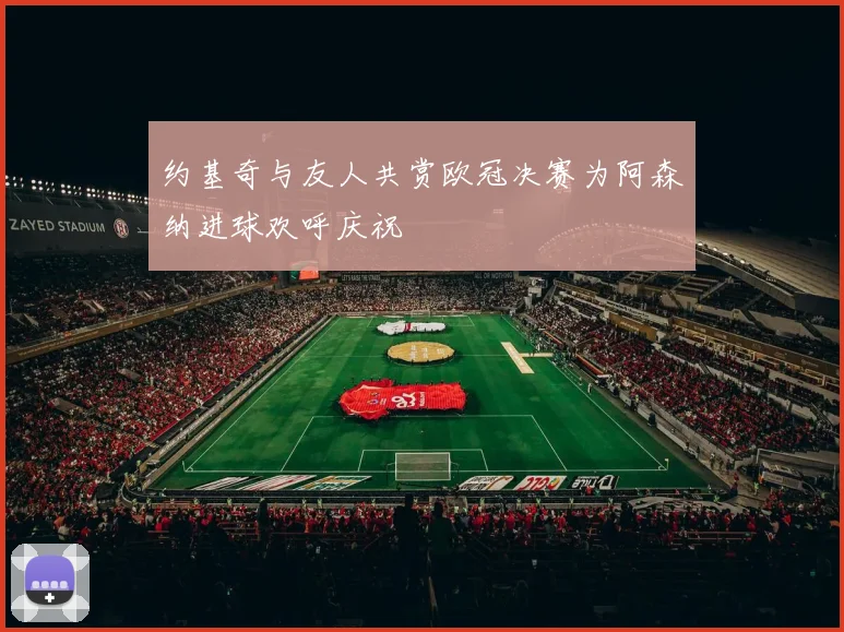 约基奇与友人共赏欧冠决赛为阿森纳进球欢呼庆祝
